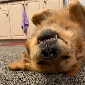 Meet your Posher, Ashlee